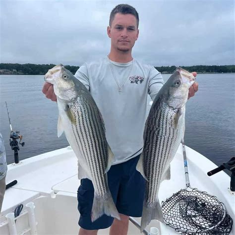 Freshwater Striper Fishing: How.
